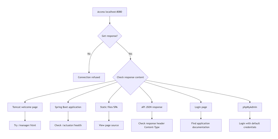 Access localhost:8080